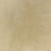 V06 (Egg Shell)