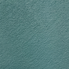 C81 (Pine Green)*