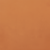 DC56 (Bronze)