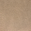 S25 (Almond)