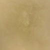LP24 (Golden Beige)