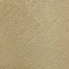 C24 (Golden Beige)