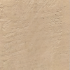M24 (Golden Beige)