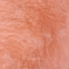 V37 (Pink Orange)