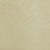 C18 (Olive)
