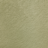 C50 (Mint)